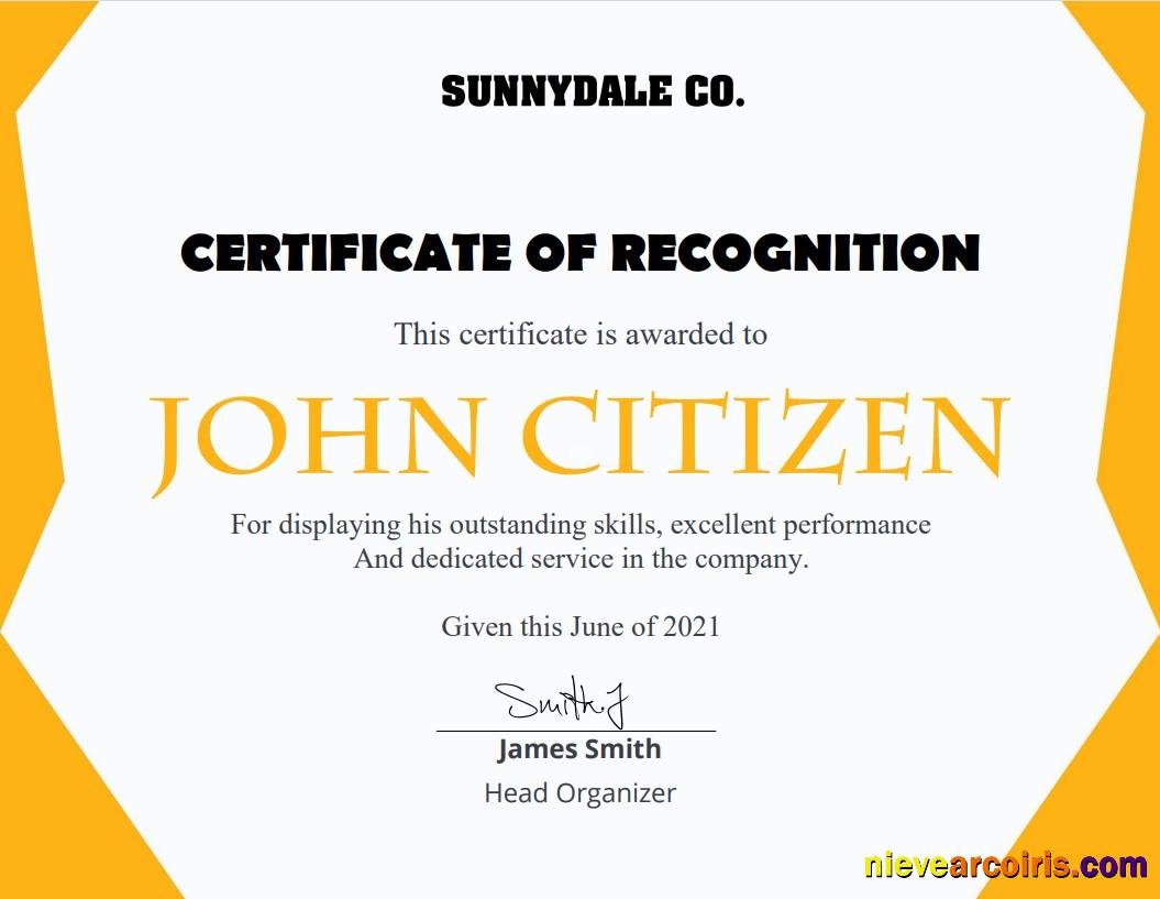 USA Recognition Certificate